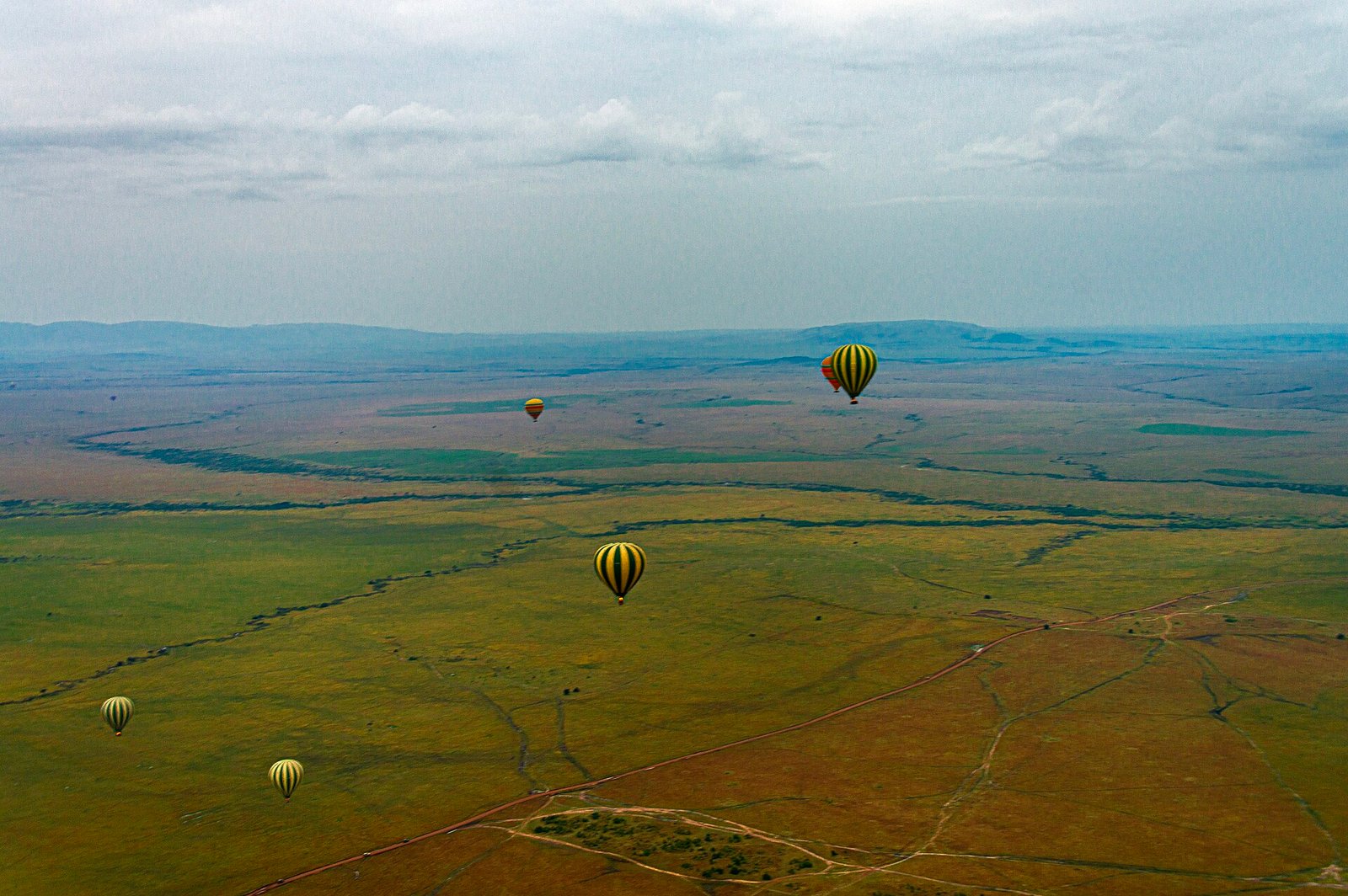 Maasai Mara 3 Days Safari