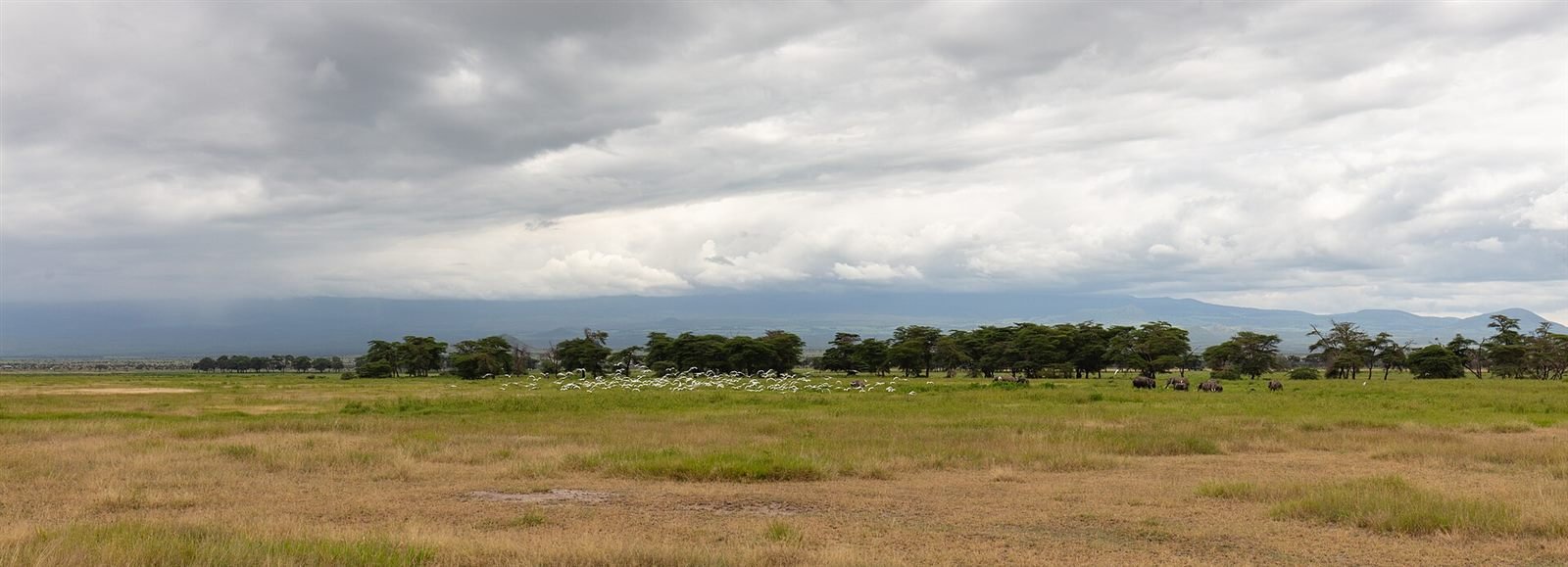 Amboseli National Park 3 Days