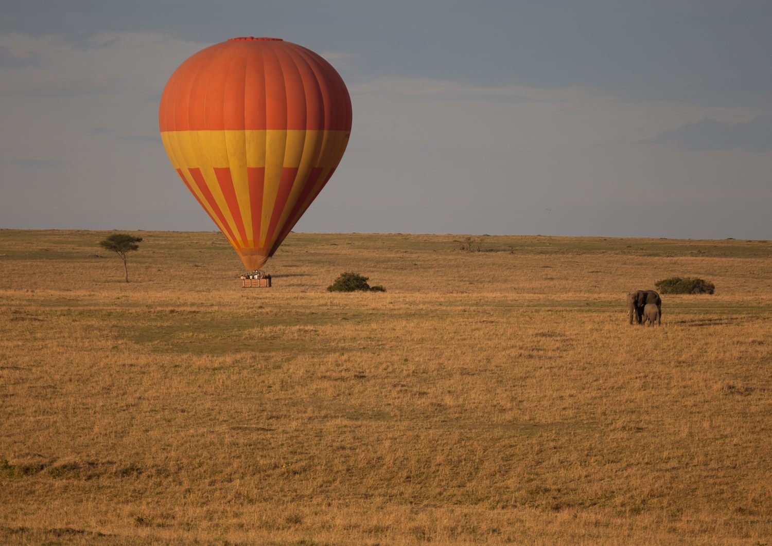 Maasai Mara 3 Days Safari