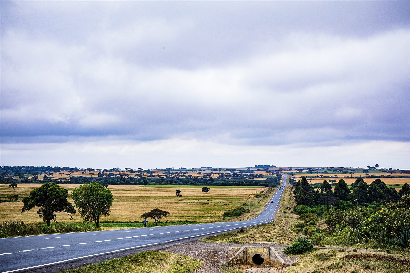 Maasai Mara 3 Days Safari