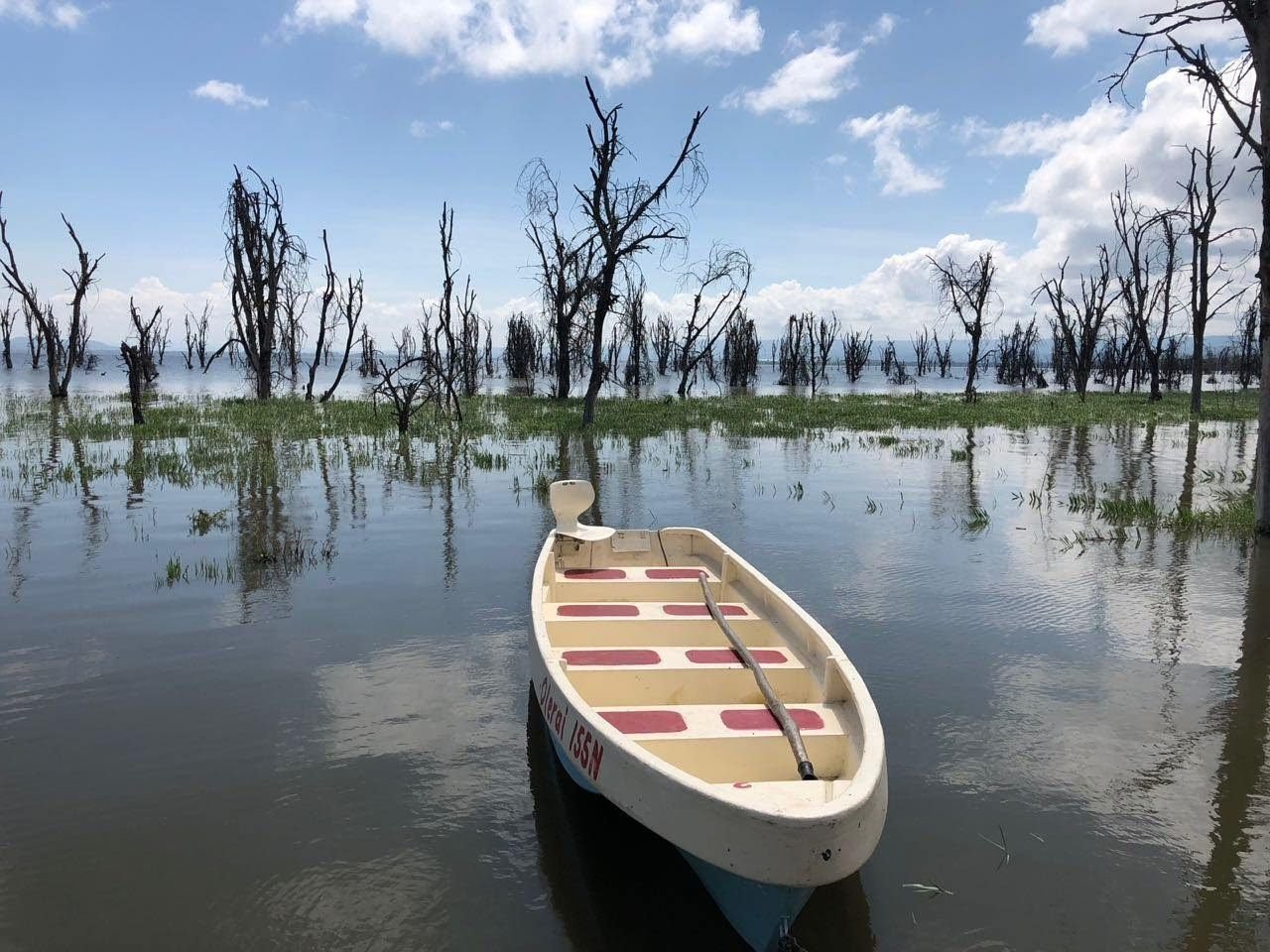 Lake Nakuru & Naivasha 4 Days