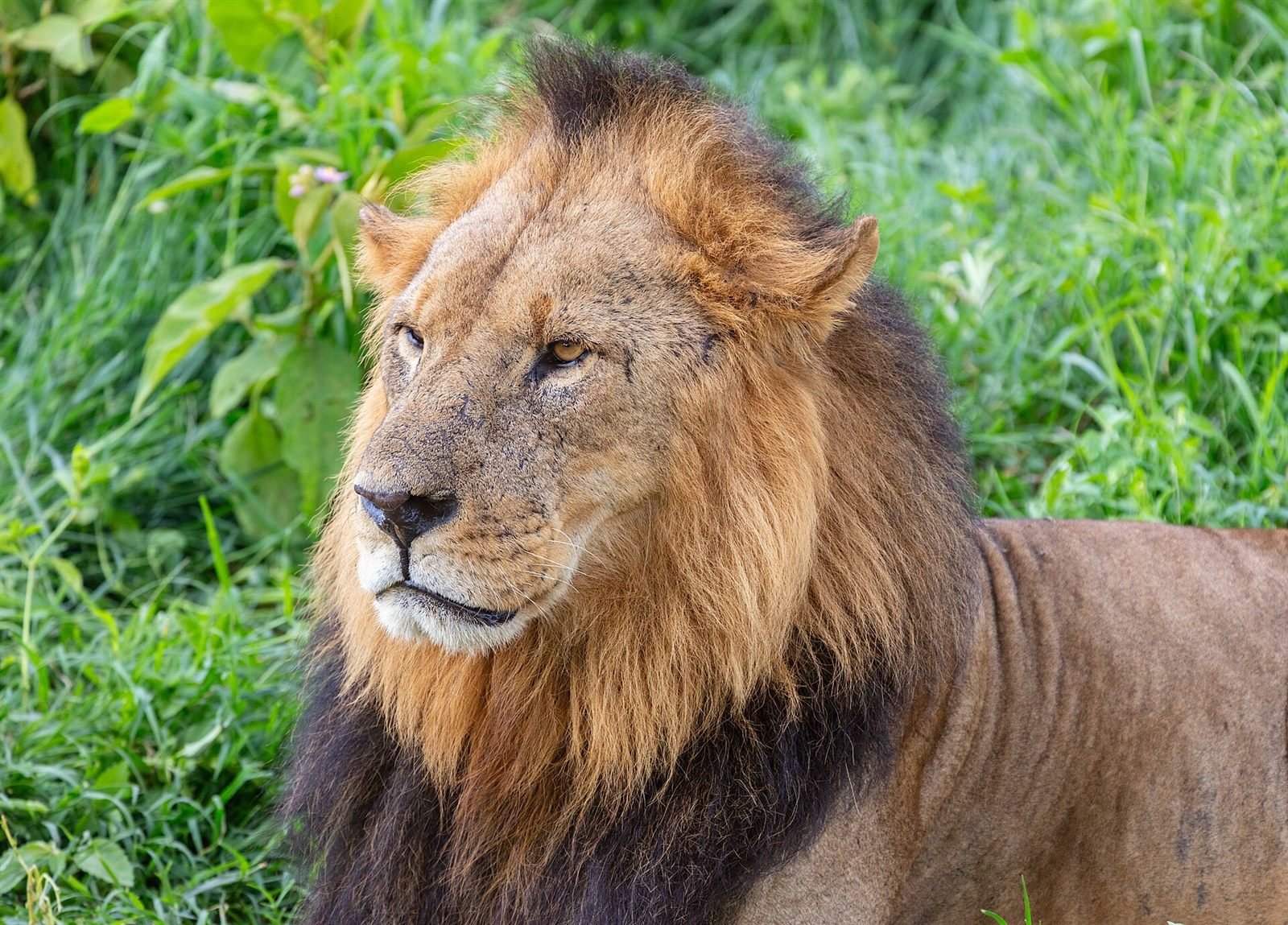 Lake Nakuru & Naivasha 4 Days