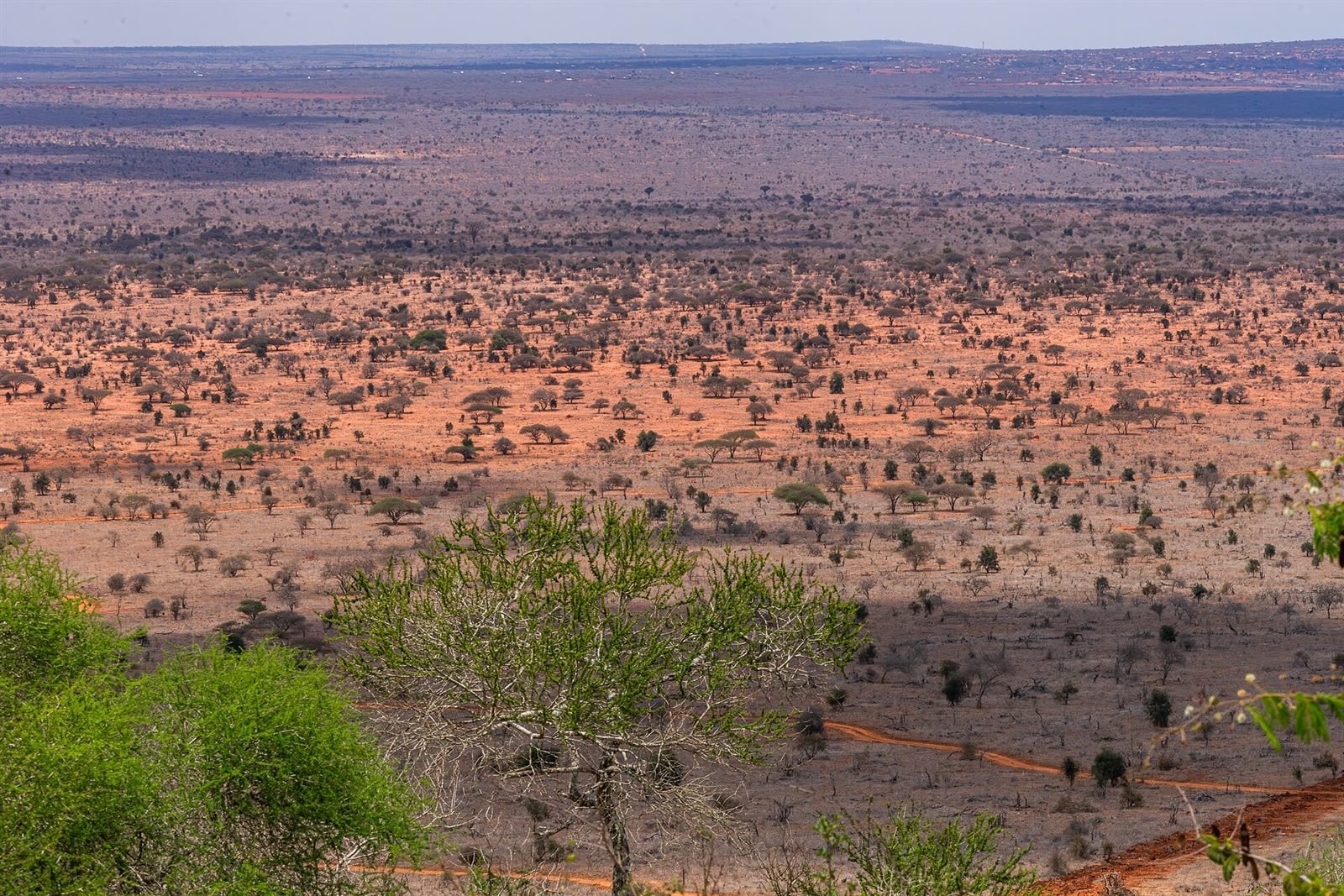 Tsavo East & West 5 Days