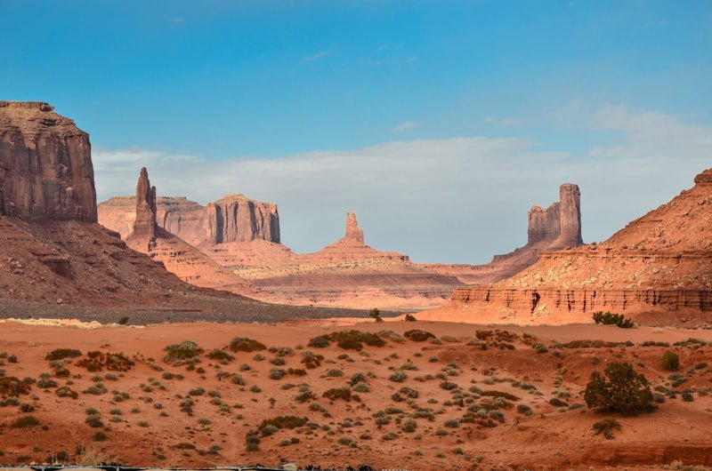 Top 10 Photography Tips for Safari