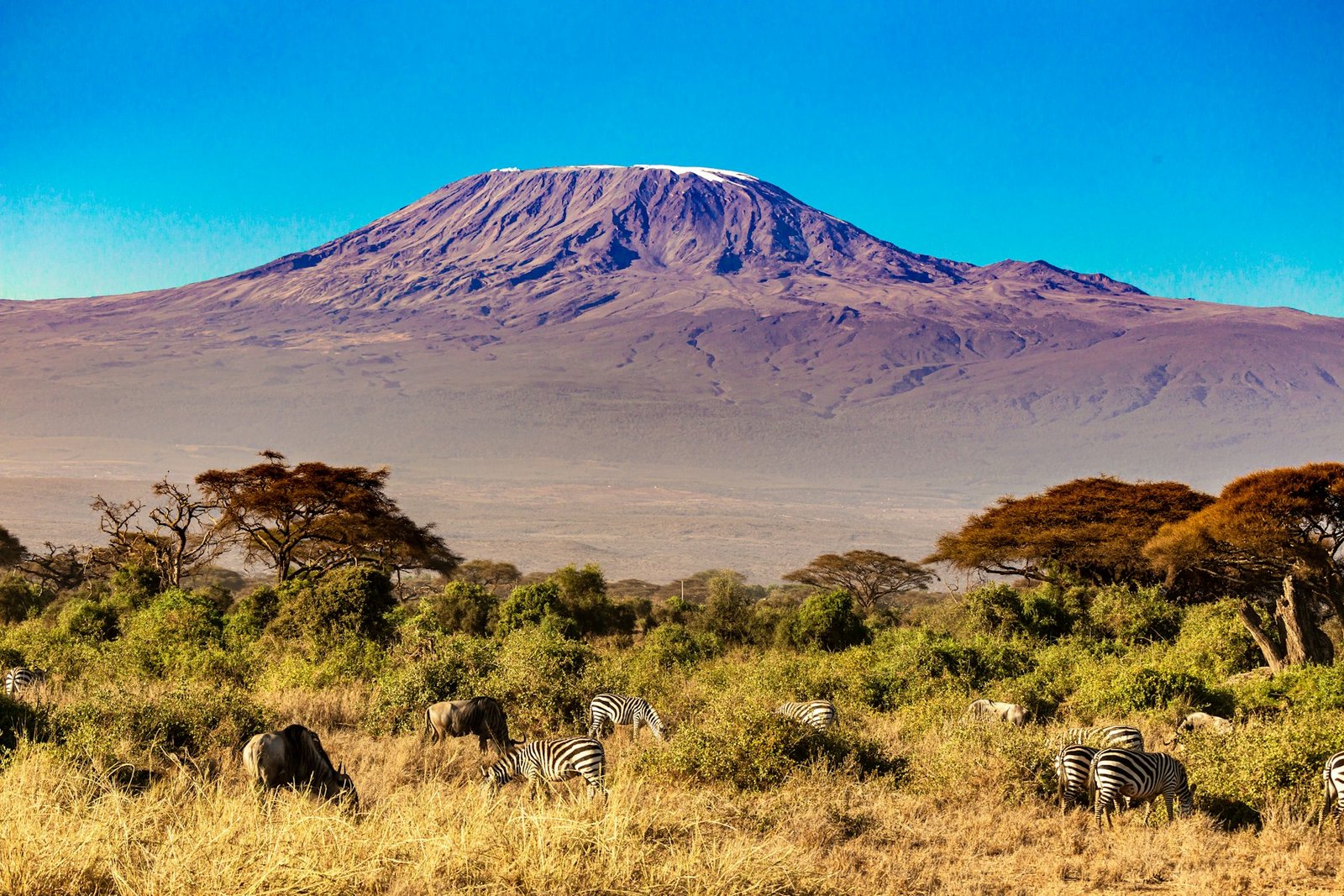 Amboseli National Park