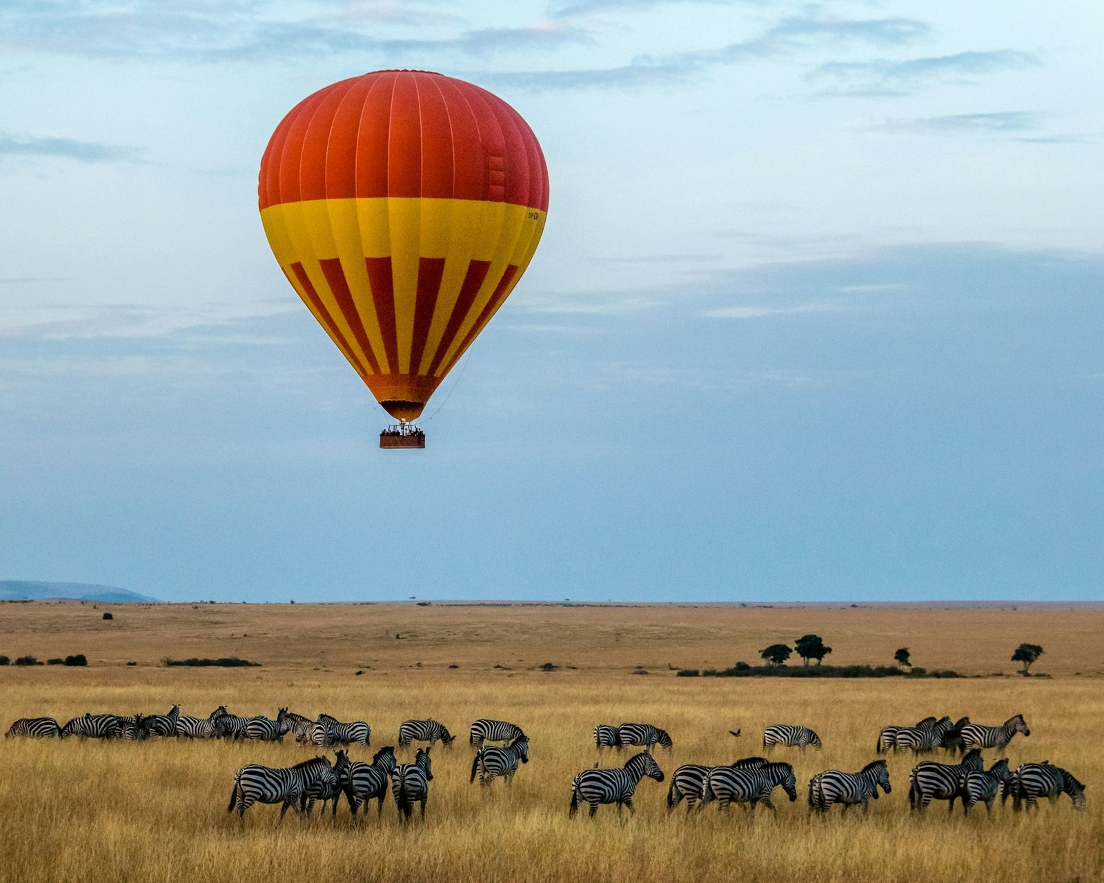 Maasai Mara Safari