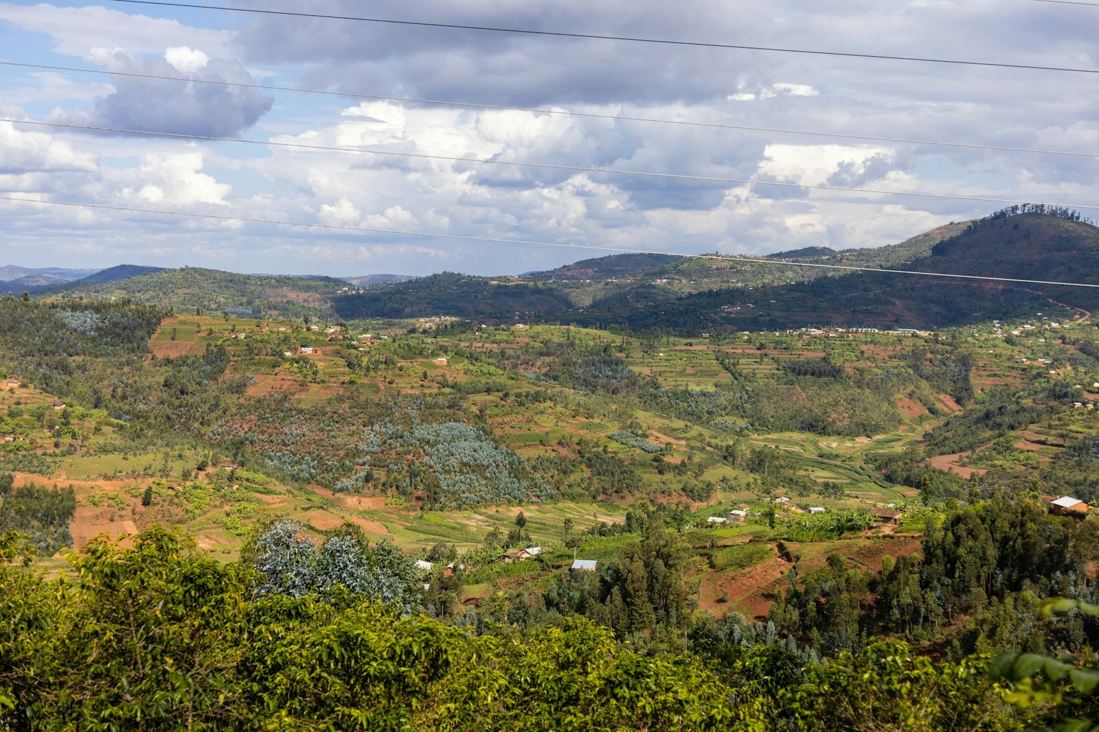 Akagera & Nyungwe