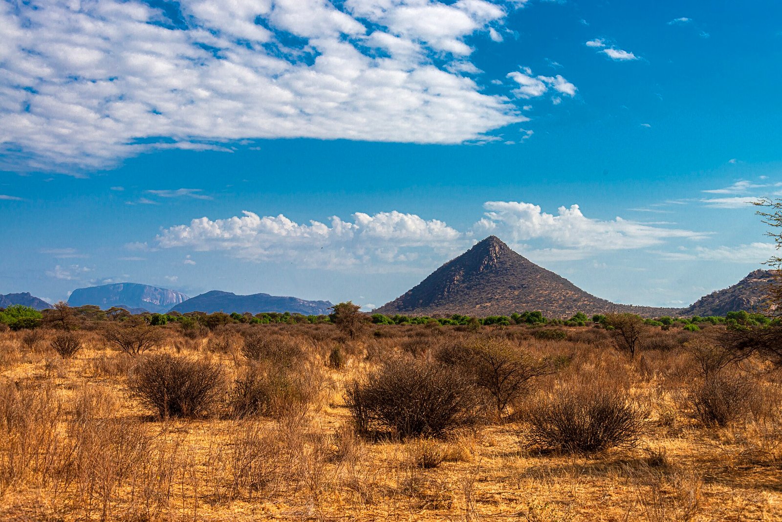 Samburu